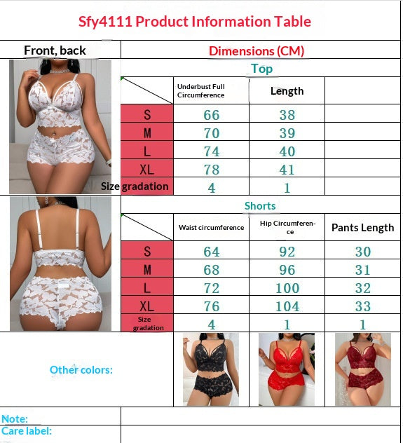 Conjunto de Lencería de Encaje Ultra Fino Transparente | Shakti Energy®
